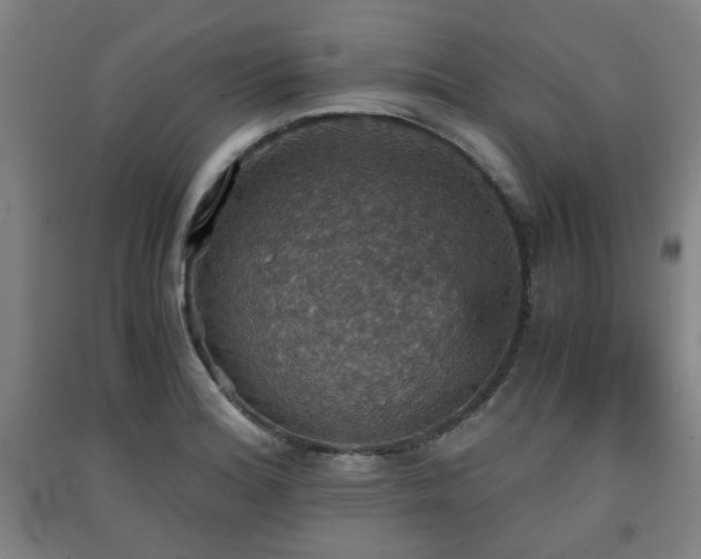 X0000091551180200708171300