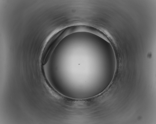 X0000091551181200708171300