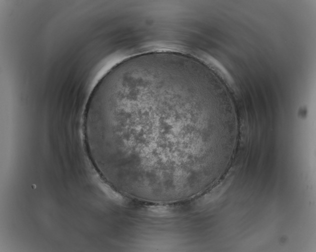 X0000091551182200708171300