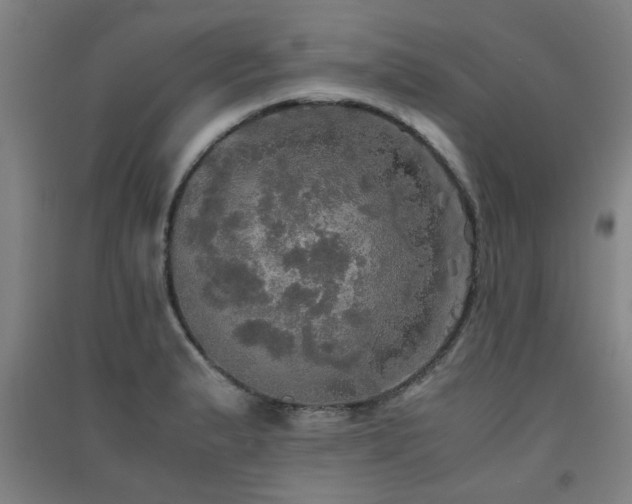 X0000091551183200708171300