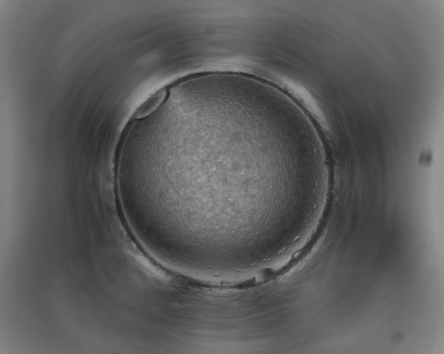 X0000091551184200708171300