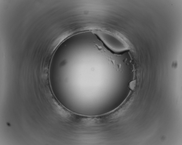X0000091551185200708171259