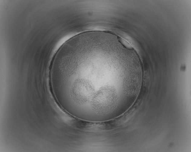 X0000091551187200708171259