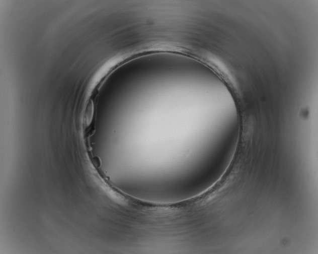 X0000091551188200708171259