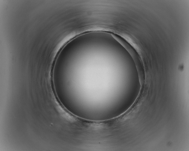 X0000091551189200708171259
