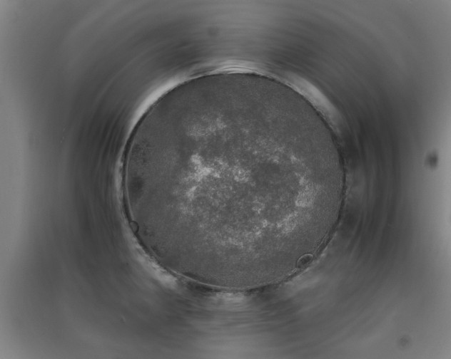 X0000091551190200708171259