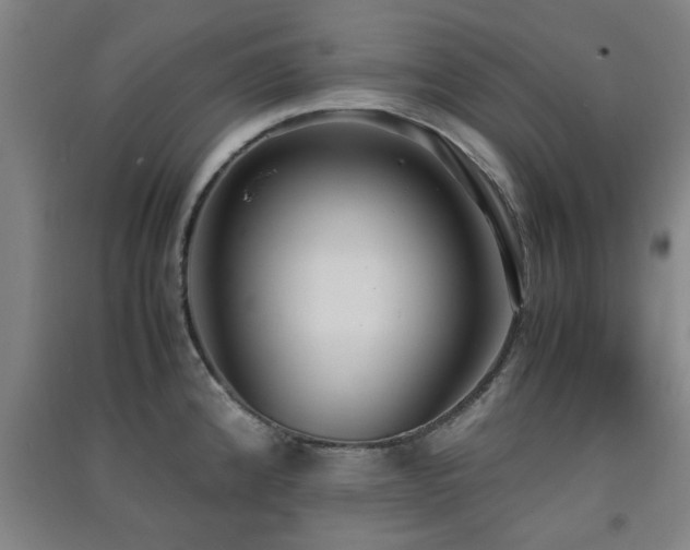 X0000091551192200708171259
