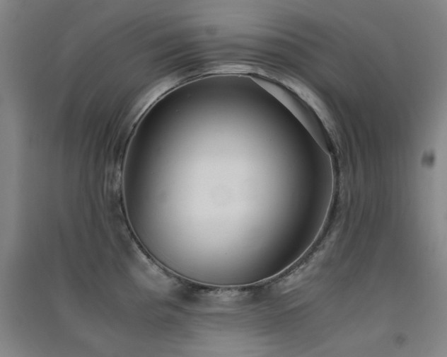 X0000091551193200708171259