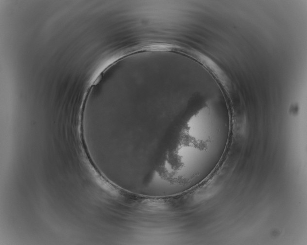 X0000091551194200708171259