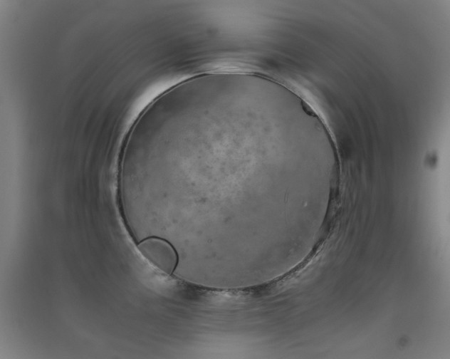 X0000091551195200708171259