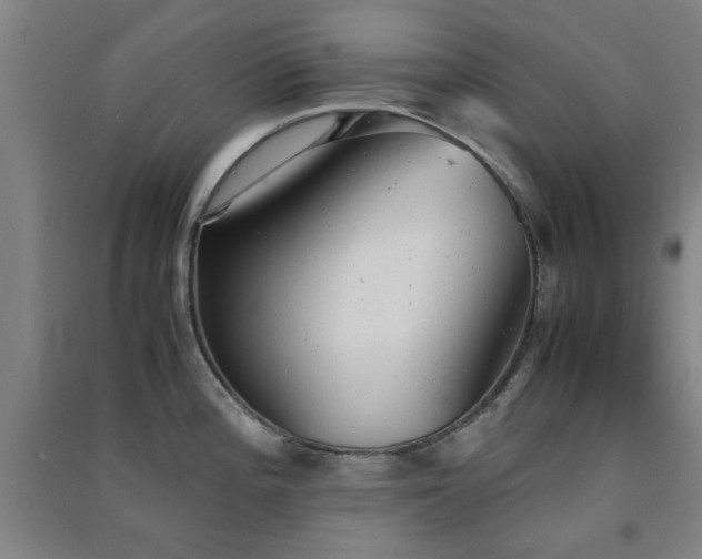 X0000091551196200708171259