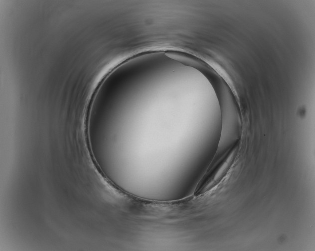 X0000091551197200708171259