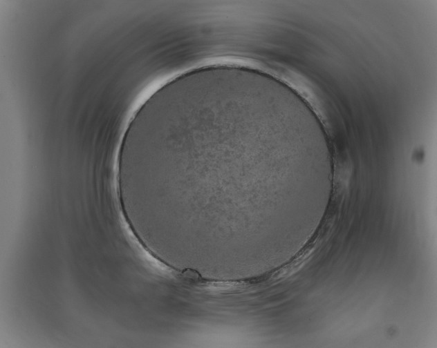 X0000091551199200708171259