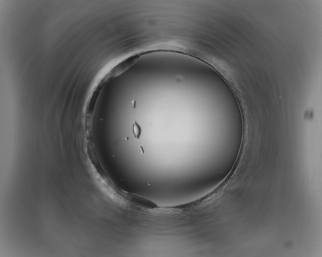 X0000091551200200708171259