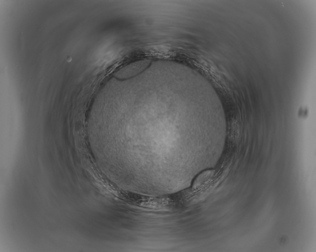 X0000091551201200708171259