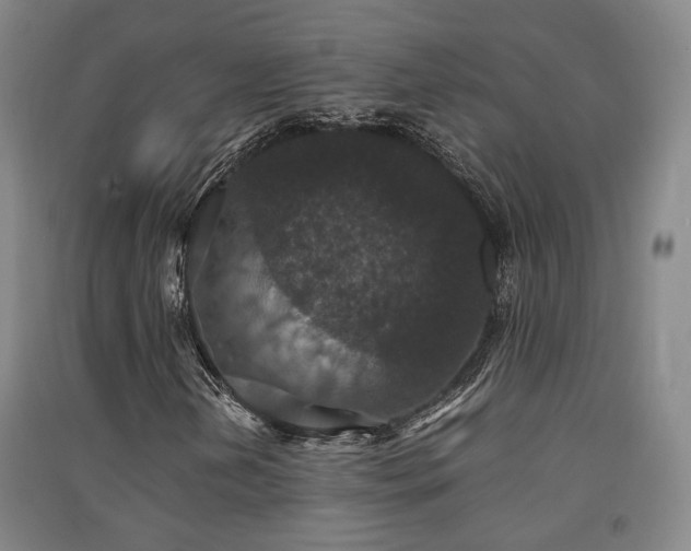 X0000091551202200708171259