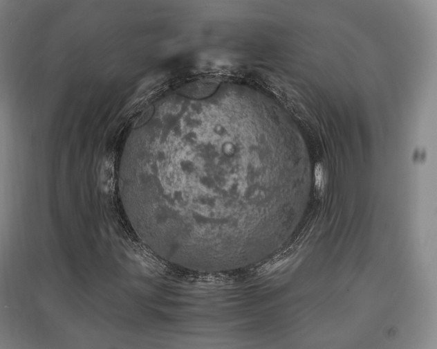 X0000091551203200708171259