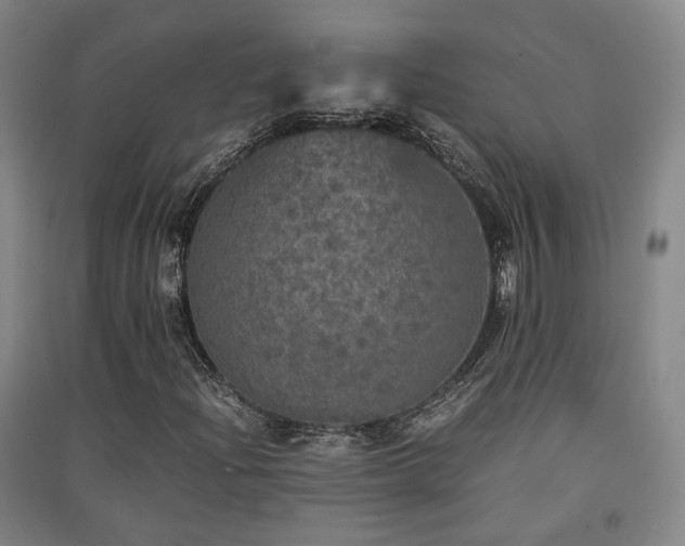X0000091551204200708171259