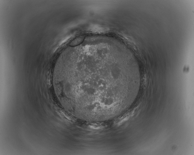 X0000091551205200708171259