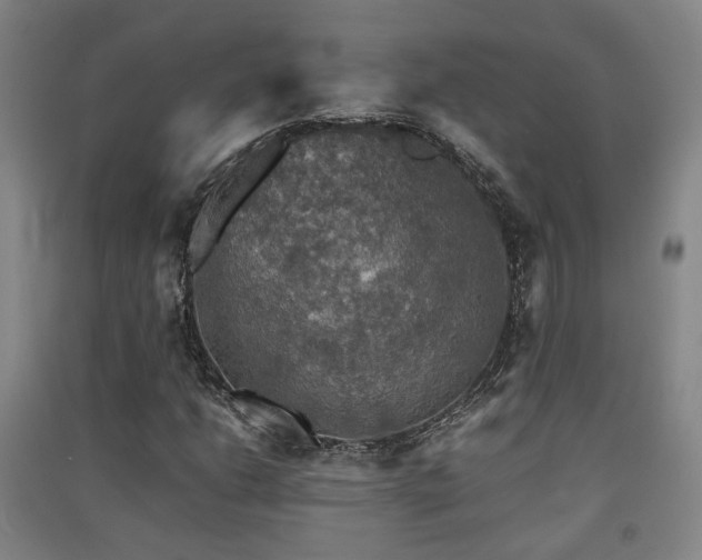 X0000091551206200708171259