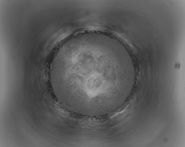 X0000091551207200708171259