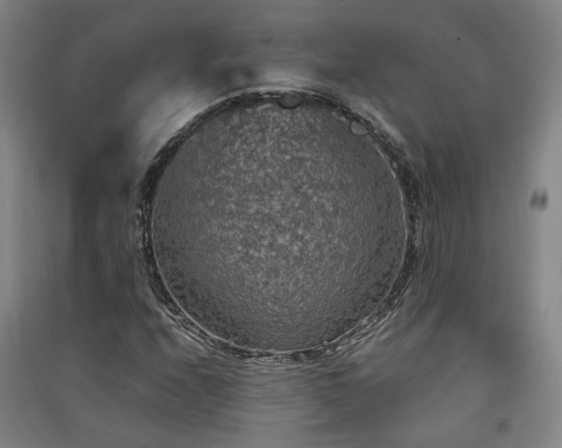 X0000091551208200708171259