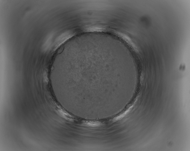 X0000091551209200708171259