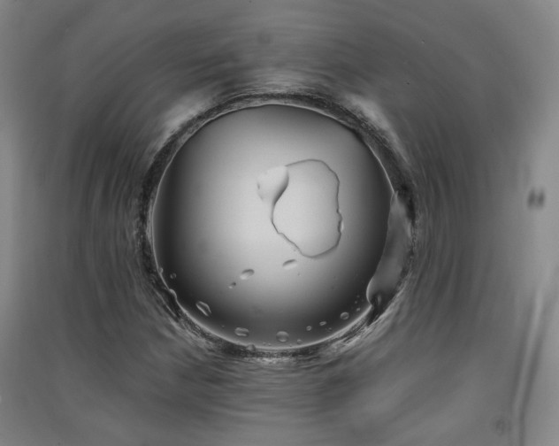 X0000091551210200708171259