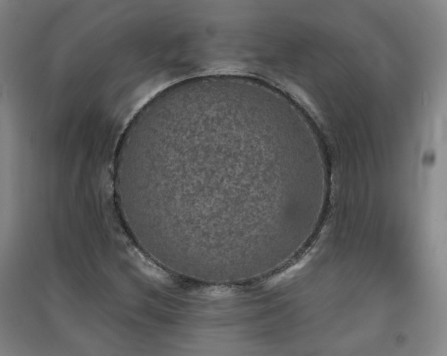 X0000091551212200708171259