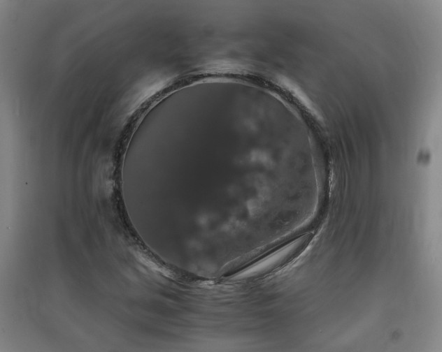 X0000091551213200708171259
