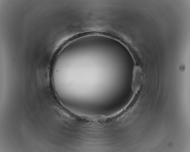 X0000091551214200708171259