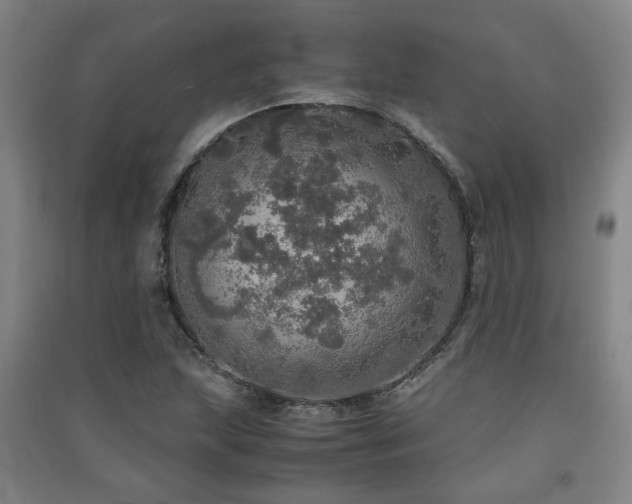 X0000091551215200708171259