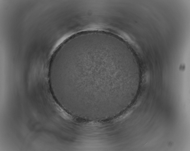 X0000091551216200708171259
