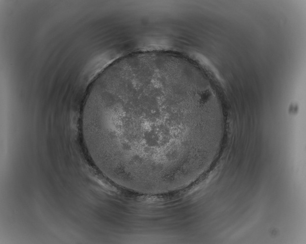 X0000091551217200708171259