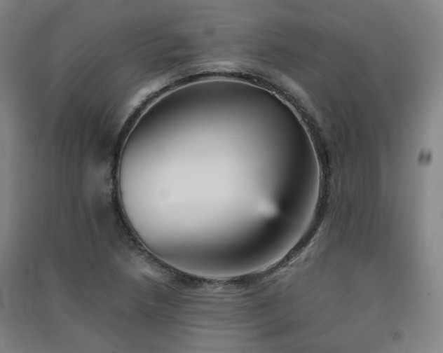 X0000091551218200708171259