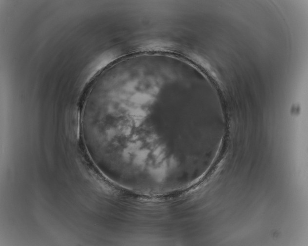 X0000091551219200708171259