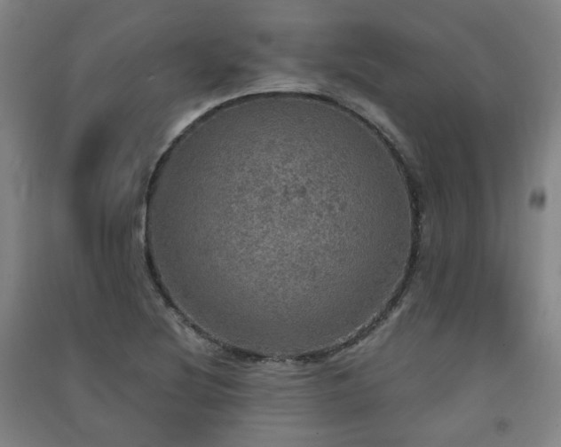 X0000091551220200708171259