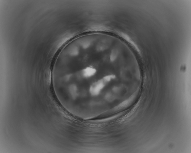 X0000091551221200708171259