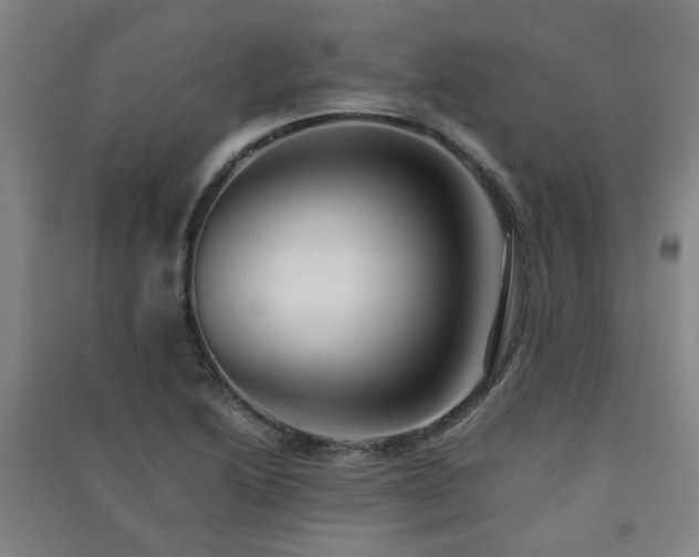 X0000091551222200708171259