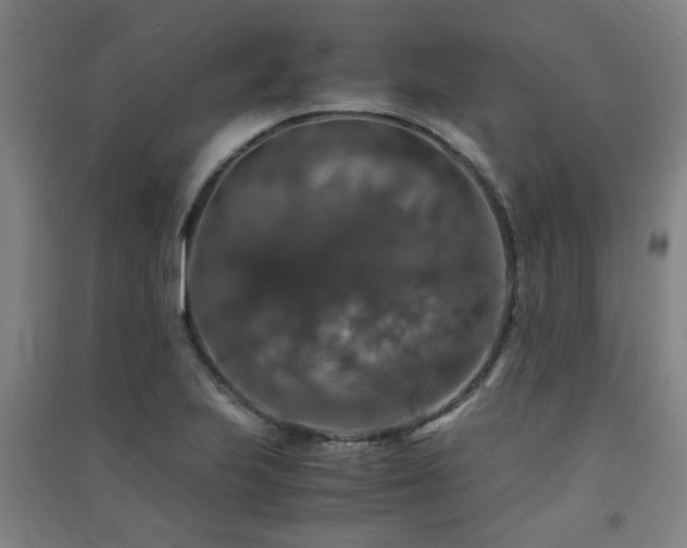 X0000091551223200708171259