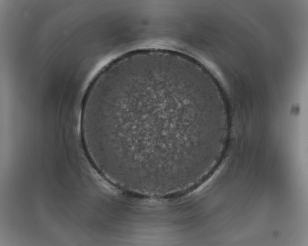 X0000091551224200708171259