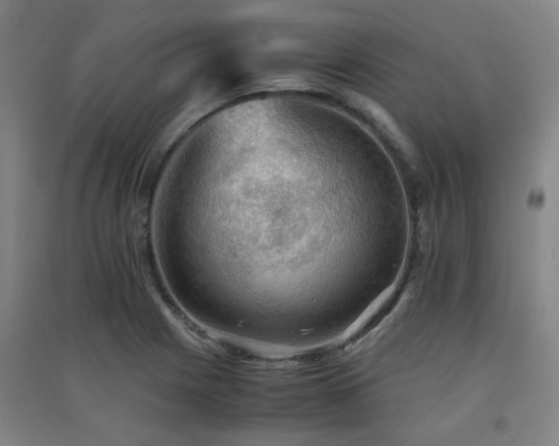 X0000091551225200708171259
