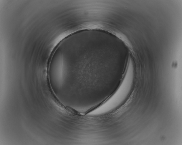 X0000091551226200708171259