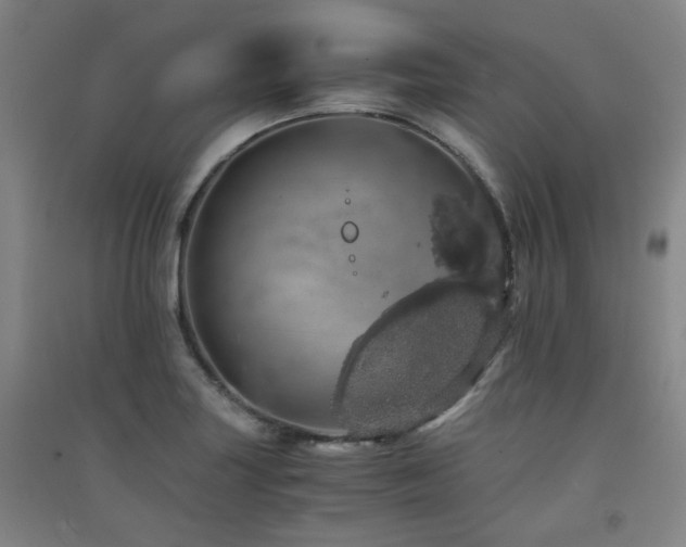 X0000091551227200708171259