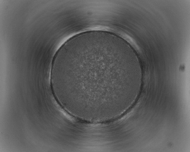 X0000091551228200708171259