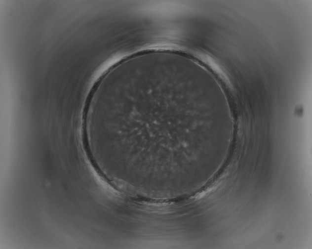 X0000091551229200708171259