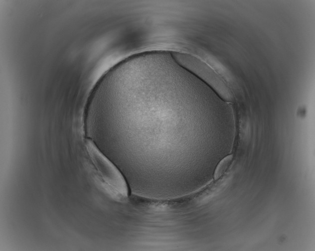 X0000091551230200708171259