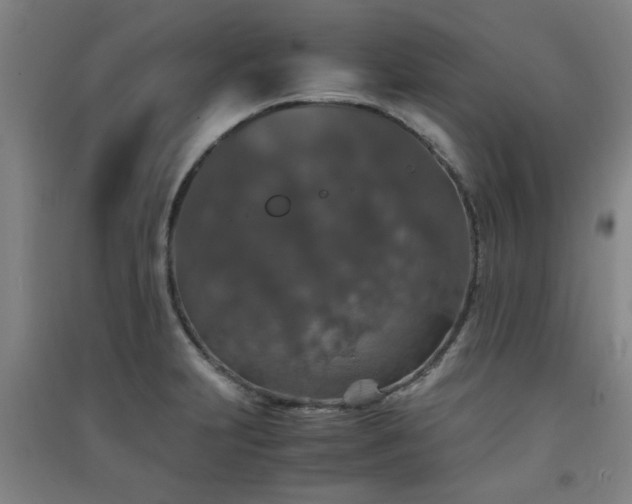 X0000091551231200708171259
