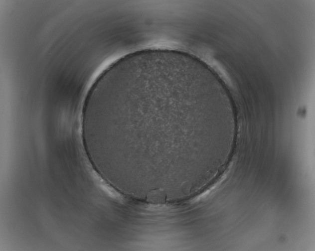 X0000091551232200708171259
