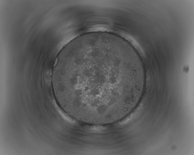 X0000091551233200708171259